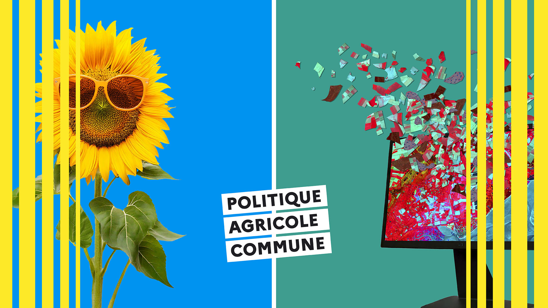 POLITIQUE AGRICOLE COMMUNE.