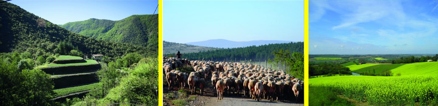 Paysages Occitanie